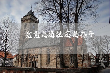 究竟是违法还是奋斗 究竟是违法还是奋斗
