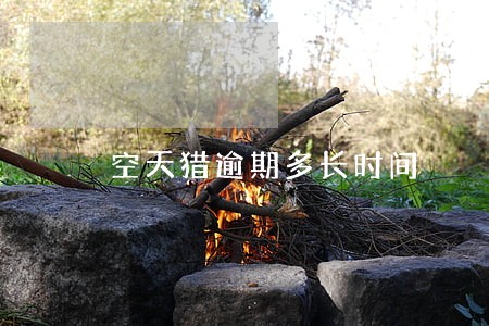 空天猎逾期多长时间 空天猎逾期多长时间