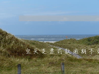 空头支票罚款逾期不交 空头支票罚款逾期不交