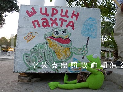 空头支票罚款逾期怎么算 空头支票罚款逾期怎么算
