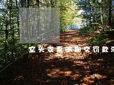 空头支票逾期交罚款滞纳金 空头支票逾期交罚款滞纳金
