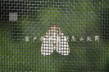 空户报税逾期怎么处罚 空户报税逾期怎么处罚