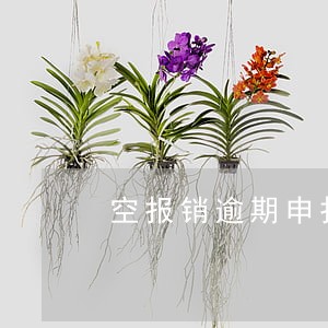 空报销逾期申报罚款 空报销逾期申报罚款