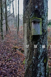 空放逾期会不会跨省上门 空放逾期会不会跨省上门