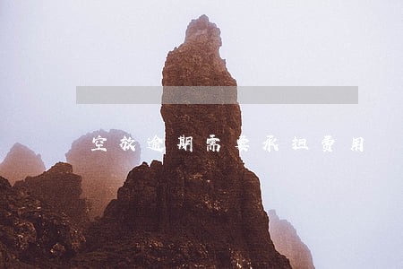 空放逾期需要承担费用 空放逾期需要承担费用