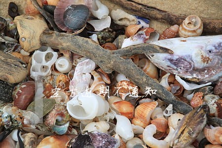 空方逾期不通知 空方逾期不通知