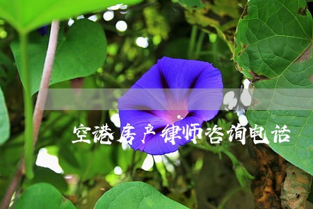 空港房产律师咨询电话 空港房产律师咨询电话