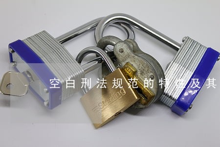 空白刑法规范的特性及其解释 空白刑法规范的特性及其解释