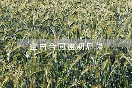 空白合同逾期后果 空白合同逾期后果