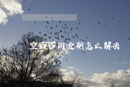 空白合同逾期怎么解决 空白合同逾期怎么解决