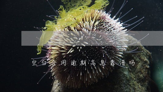 空白合同逾期高息靠谱吗 空白合同逾期高息靠谱吗