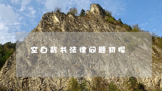 空白背书法律问题初探 空白背书法律问题初探
