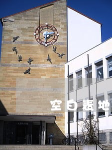 空白表地税逾期申报罚款 空白表地税逾期申报罚款