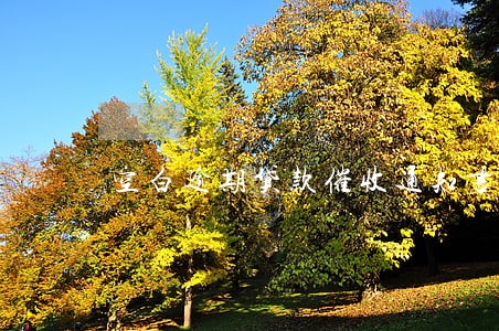 空白逾期贷款催收通知书签名 空白逾期贷款催收通知书签名