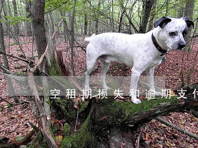 空租期损失和逾期支付租赁利息 空租期损失和逾期支付租赁利息