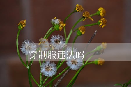穿制服违法吗