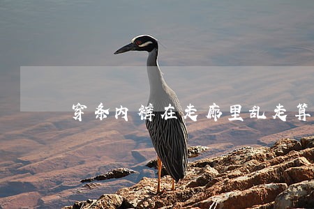 穿条内裤在走廊里乱走算不算违法 穿条内裤在走廊里乱走算不算违法
