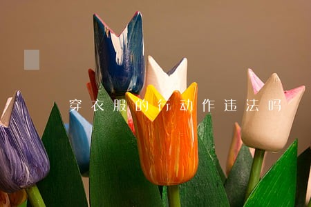 穿衣服的行动作违法吗