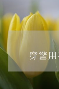 穿警用衣服违法吗