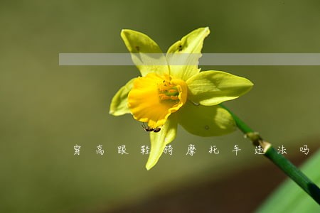 穿高跟鞋骑摩托车违法吗 穿高跟鞋骑摩托车违法吗