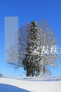 突发疾病导致贷款逾期 突发疾病导致贷款逾期