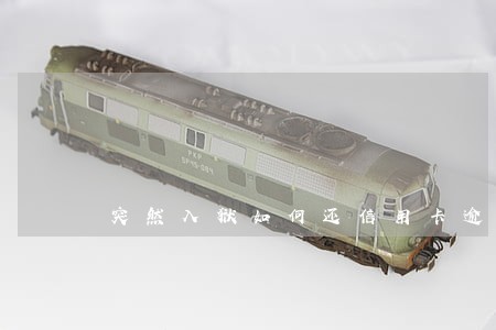 突然入狱如何还信用卡逾期 突然入狱如何还信用卡逾期