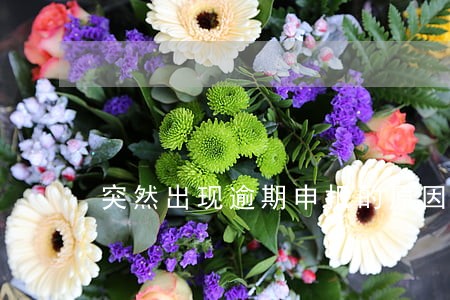 突然出现逾期申报的原因 突然出现逾期申报的原因