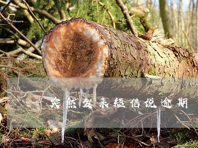 突然发来短信说逾期 突然发来短信说逾期
