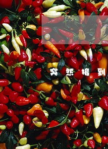 突然接到法院电话说有人要起诉我 突然接到法院电话说有人要起诉我