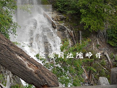 突然接到法院邮件