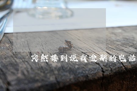 突然接到说我逾期的电话