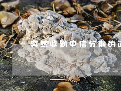 突然收到中信分期的逾期短信 突然收到中信分期的逾期短信