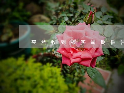 突然收到核实逾期催告涵 突然收到核实逾期催告涵