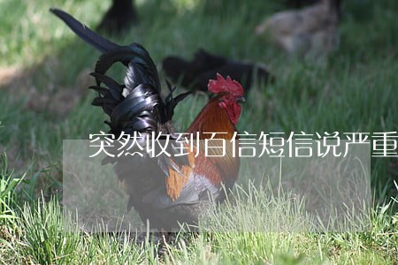 突然收到百信短信说严重逾期