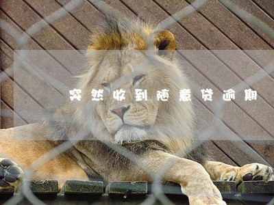 突然收到随意贷逾期