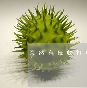 突然有催收打电话说有逾期 突然有催收打电话说有逾期