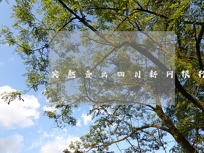 突然查出四川新网银行逾期怎么办 突然查出四川新网银行逾期怎么办