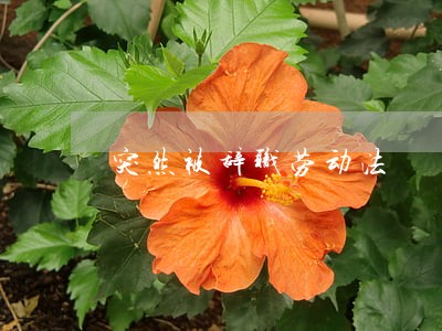 突然被辞职劳动法 突然被辞职劳动法