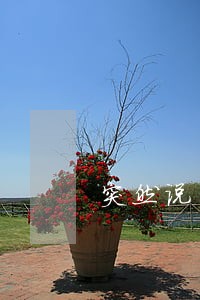 突然说网贷逾期 突然说网贷逾期