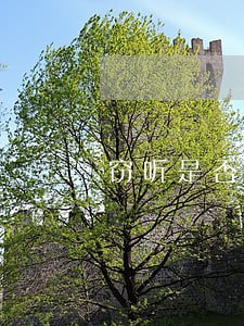 窃听是否违法 窃听是否违法