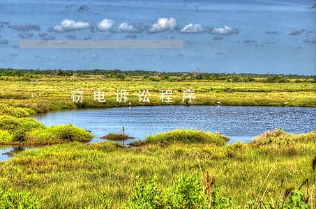 窃电诉讼程序 窃电诉讼程序