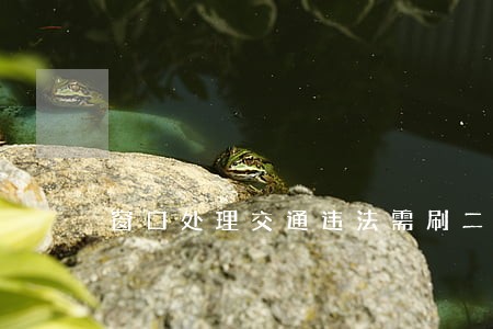 窗口处理交通违法需刷二代证 窗口处理交通违法需刷二代证