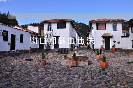窗口期献血违法 窗口期献血违法