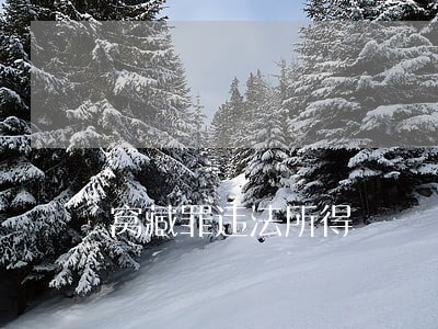 窝藏罪违法所得 窝藏罪违法所得