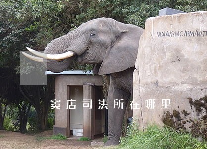 窦店司法所在哪里