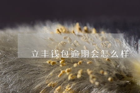 立丰钱包逾期会怎么样