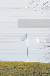 立借分期逾期