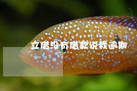 立借没有借款说我逾期 立借没有借款说我逾期