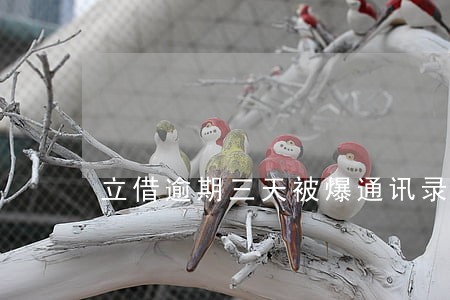 立借逾期三天被爆通讯录了 立借逾期三天被爆通讯录了