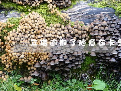 立借逾期了随意在卡里扣钱 立借逾期了随意在卡里扣钱